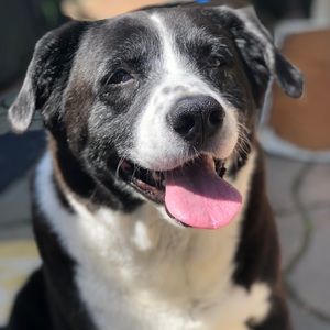 Meet your Posher, Brandy